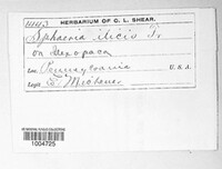 Image Associated With the Occurence